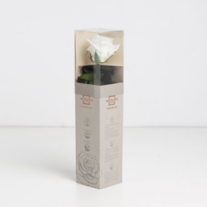 Mini rose blanche stabilisée sur tige