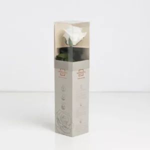 Mini rose blanche stabilisée sur tige