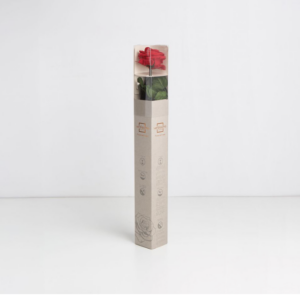 Rose rouge stabilisée sur tige
