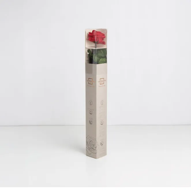 Rose rouge stabilisée sur tige