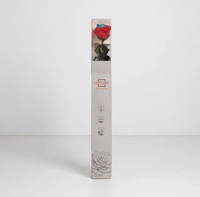 Rose multicouleurs stabilisée sur tige