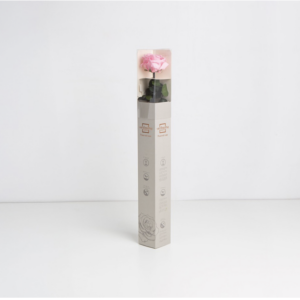 Rose rose stabilisée sur tige