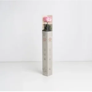 Rose rose stabilisée sur tige