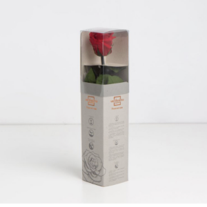 Mini Rose rouge stabilisée sur tige