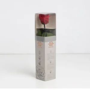 Mini Rose rouge stabilisée sur tige