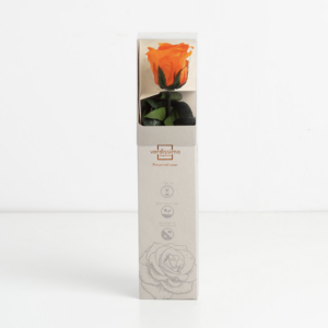 Mini rose orange stabilisée sur tige