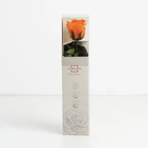 Mini rose orange stabilisée sur tige