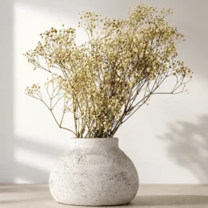 Gypsophile blanc Stabilisée