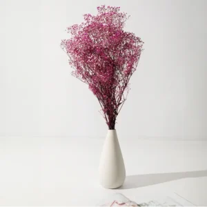 Gypsophile rose Stabilisée
