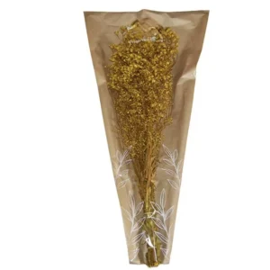 Gypsophile jaune Stabilisée